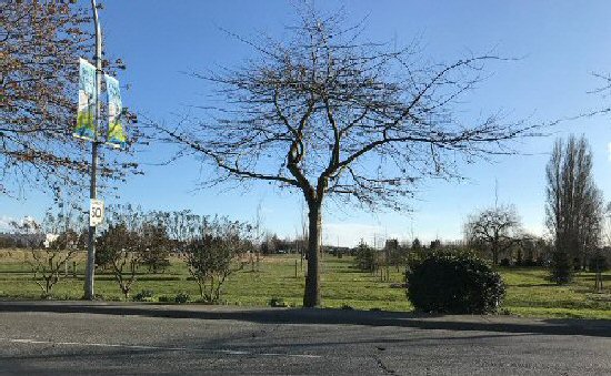 Paterson Park - Present Day